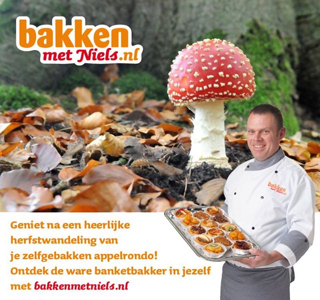 Bakken met Niels